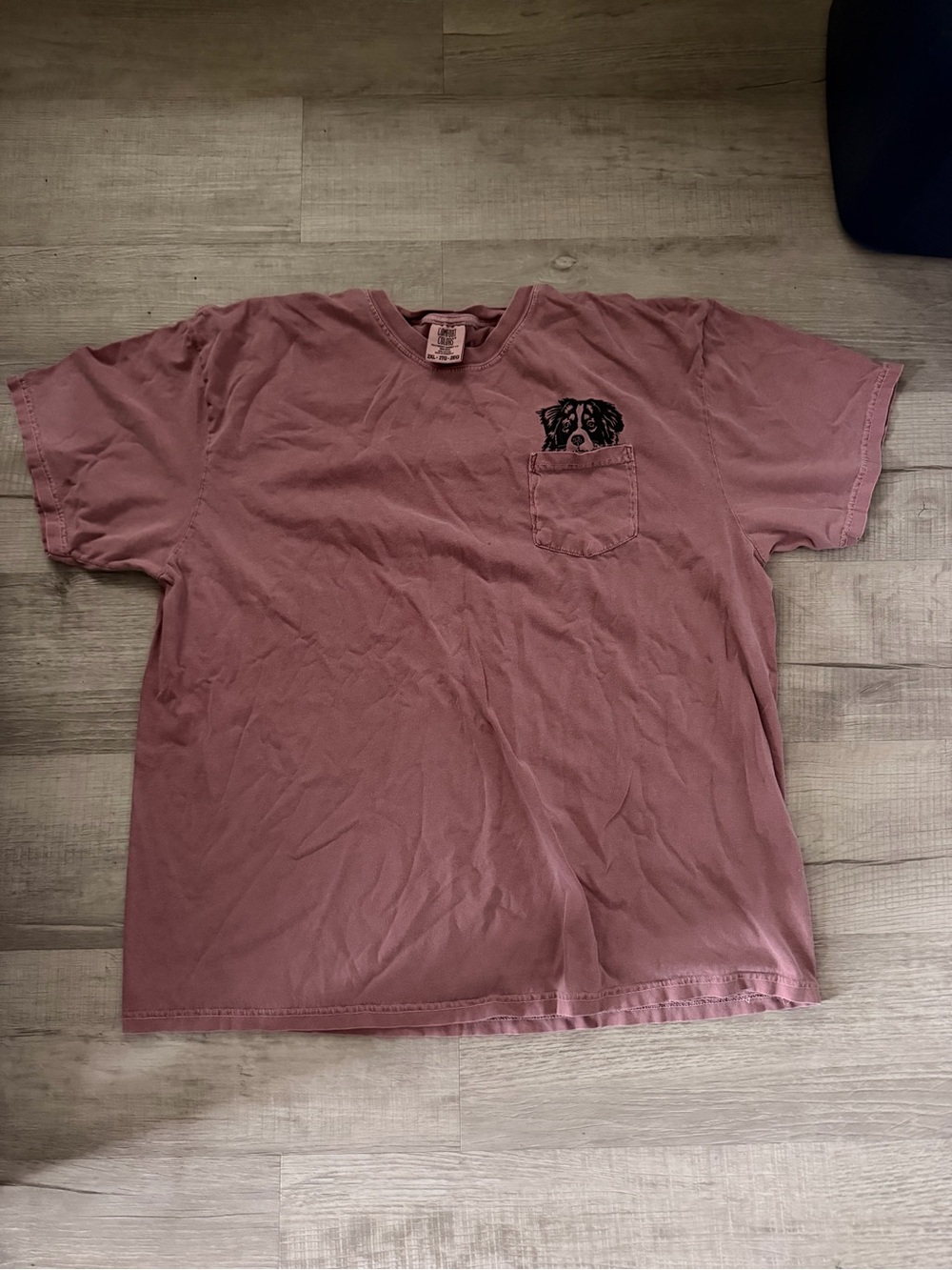 Pocket T-Shirt with Dog Graphic in Dusty Rose